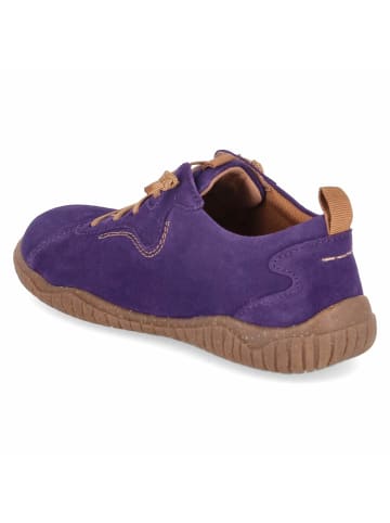 Josef Seibel Schnürhalbschuh in purple