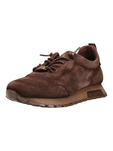 Hispanitas Sneaker OREGON-I6 Dunkelbraun
