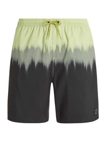 Protest M PRTCAGNES BEACHSHORT in Grün