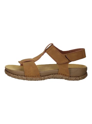 El Naturalista Sandalen in Wood