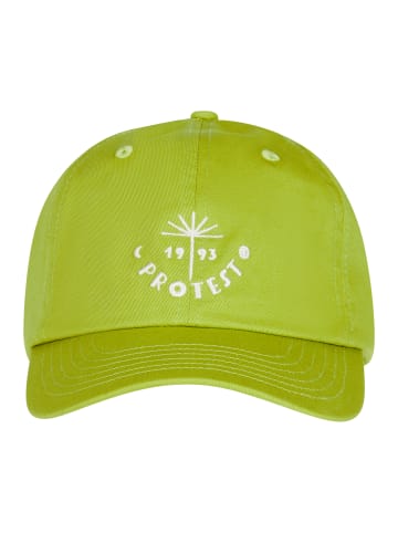 Protest " PRTIndira in Sour Green