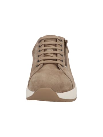 Solidus Schnürschuhe Ken - Weite M in Braun