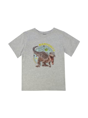 ONOMATO! T-Shirt Jurassic World Dino in Grau