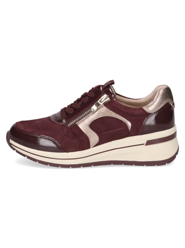Caprice Slipper Sneaker in bordo