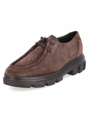 Paul Green Schnürhalbschuh in brown