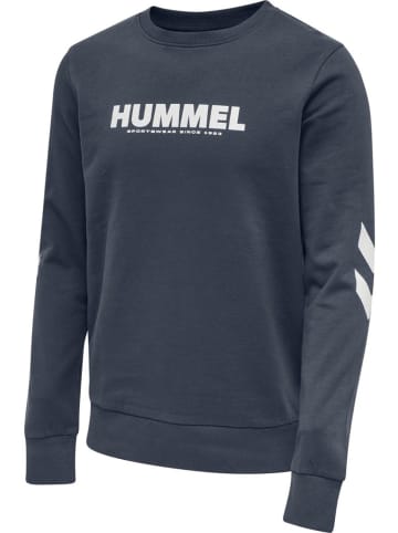 Hummel Hoodie in Blau