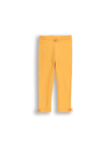 Coccodrillo Gerippte Leggings mit langem Bein in orange