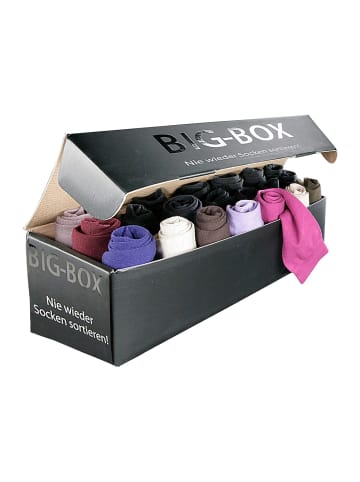 GO IN Basicsocken in 2x braun, 2x beige, 2x lila, khaki, 11x schwarz