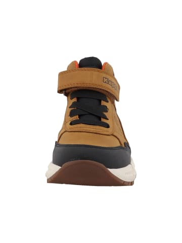 Kappa Kappa in black/camel