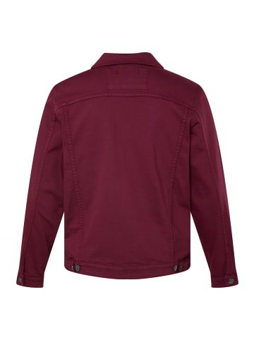 Men Plus Übergangsjacke in bordeauxrot