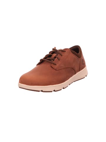 Timberland Schnürschuh in braun