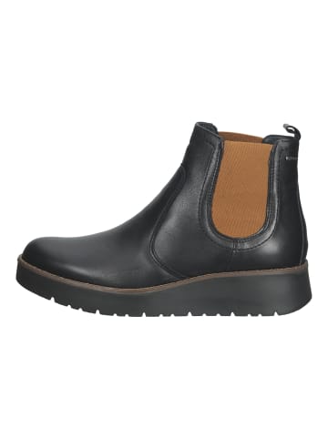 Igi&Co Stiefelette in Schwarz/Braun