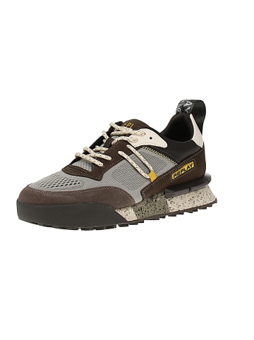 Replay Sneaker low Field in Mehrfarbig