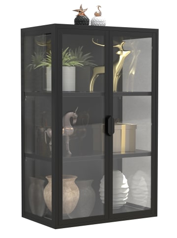 VCM  Stahl Wandvitrine Hängevitrine Vitrine Glas Flokas in Schwarz