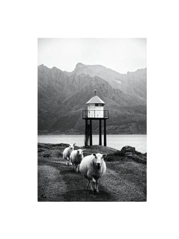 WALLART Leinwandbild - Drei Schafe auf den Lofoten in Schwarz-Weiß