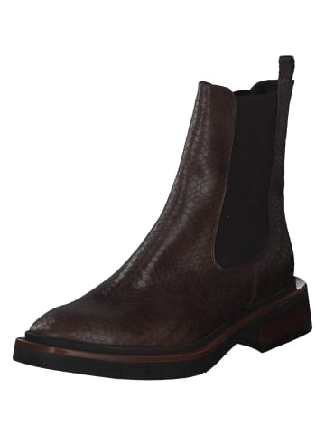 ZINDA Chelsea Boots in tabacco/tdm/schoko/beige