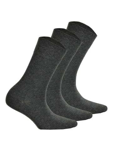 Hudson Socken 3er Pack in Grau