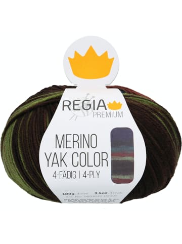 Regia Handstrickgarne Premium Merino Yak Color, 100g in Jungle gradient color