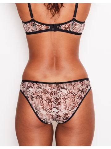 Scandale Eco-lingerie Culotte Panty in Snake Print