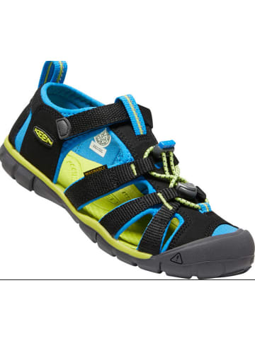 Keen Sandale in schwarz