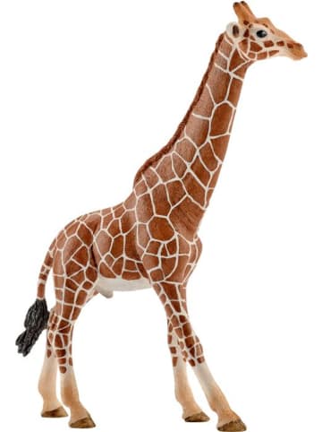 Schleich Giraffenbulle in Mehrfarbig ab 3 Jahre