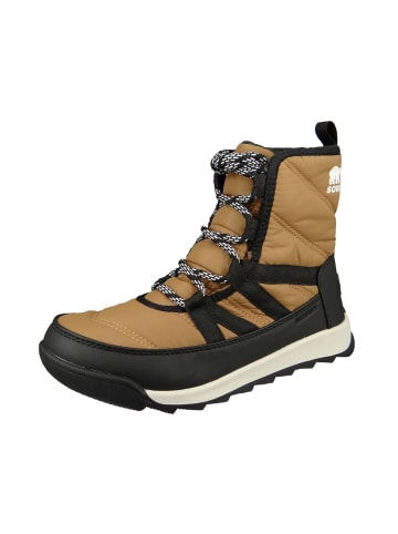 Sorel Stiefel in braun