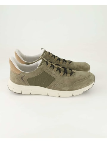 Pius Gabor Sneaker low in Grün