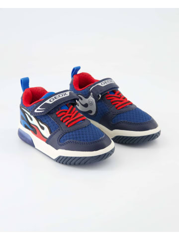 Geox Klettschuhe in Blau