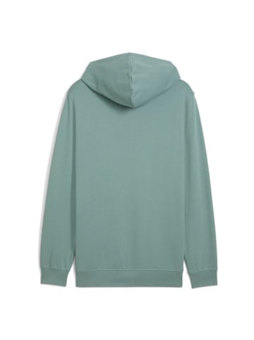 Puma Elevated Hoodie Sweater in Grün