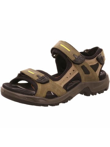 Ecco Outdoorsandalen für Herren in braun