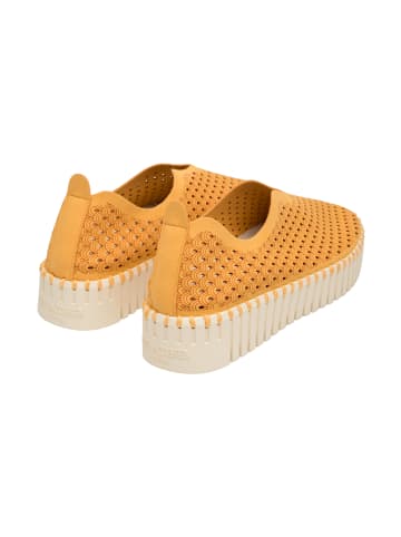 Ilse Jacobsen Sneaker TULIP3373 in Golden Nugget