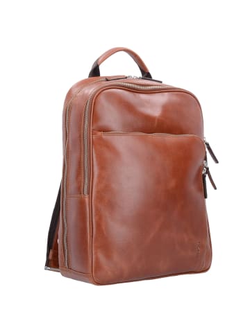 PICARD Buddy Rucksack Leder 39 cm Laptopfach in cognac