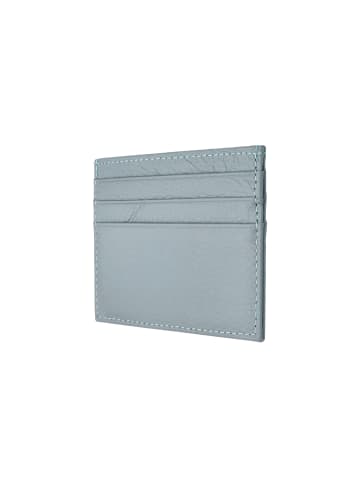 Usha Women Wallet in Light Blue