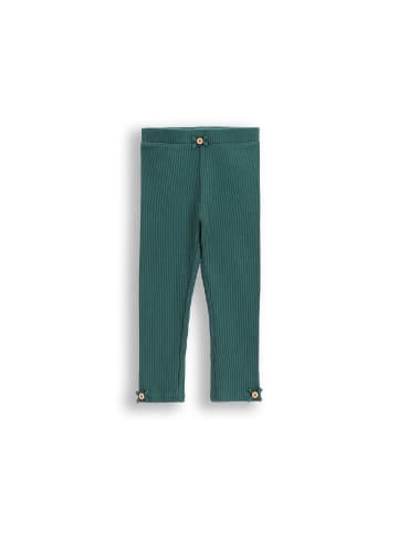 Coccodrillo Gerippte Leggings mit langem Bein in grün