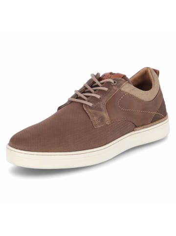 Bullboxer Schuh in brown