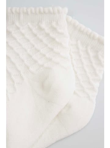 Coccodrillo Socken in ecru