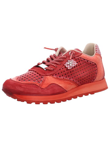 Cetti in rot