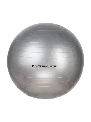 Endurance Gymnastikball Gym Ball 55 CM in 8889 silver