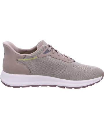 Tamaris Sneaker  in Beige