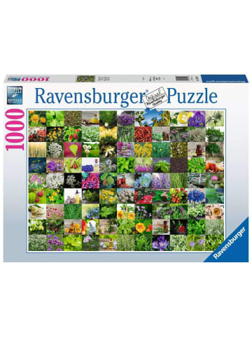 Ravensburger Puzzle 1.000 Teile 99 Kräuter und Gewürze Ab 14 Jahre in bunt