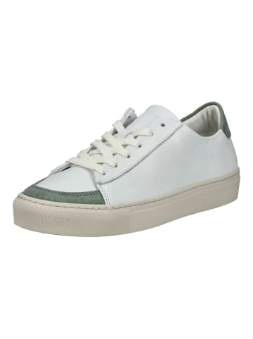 sneaky steve Sneaker in Weiß/Grün