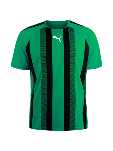 Puma Fußballtrikot TeamLIGA Striped in grün / schwarz