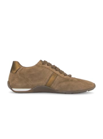 Gabor Sneaker low in braun