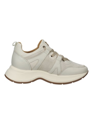 Scapa Sneaker in Beige