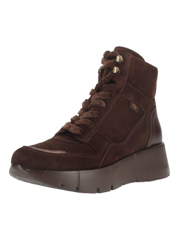 Hispanitas Stiefelette MONTANA-6 in Dunkelbraun