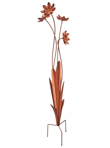 kobolo Dekostecker WILDFLOWER100 in Braun