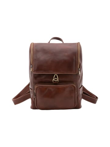 Viola Castellani Umhängetasche in BROWN