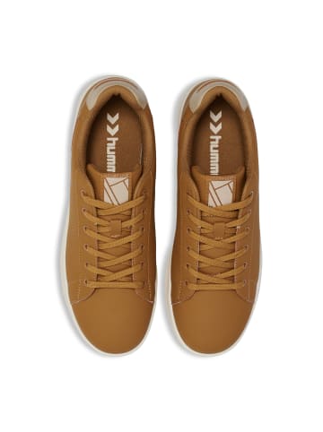 Hummel Schnürsenkel Sneaker Court Line Lebensstil Erwachsene in CATHAY SPICE