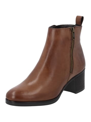 Palado Stiefeletten Gorir in Braun