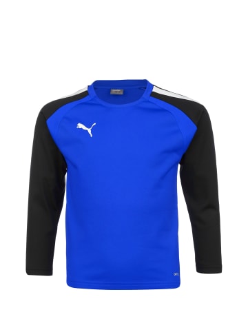 Puma Trainingstop TeamLIGA in blau